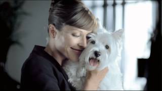 Cesar Vital 10 damals wie heute Hundefutter Werbung 2012 [upl. by Deenya851]