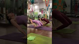 Day8 how To Do flying Camel pose yoga backbendchallenge yogapractice [upl. by Aleacim554]