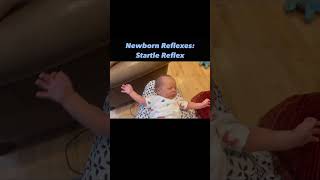 Newborn Reflexes Startle Reflex Maria Teresa Ferrer Dr in Physical Therapy [upl. by Marilla567]