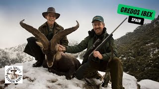 Stunning Gredos Ibex in Spain [upl. by Kenrick265]