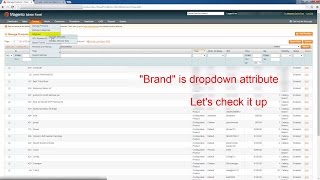 Filter Products by Dropdown Attribute Value in Magento by eMagicOne [upl. by Notgnimer]