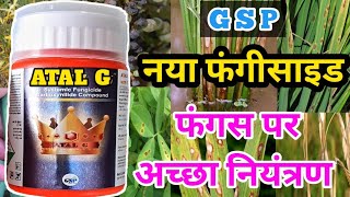 gsp atal g fungicide  atalg fungicide thifluzamide 24 sc  g s p crop science limited [upl. by Lasko]