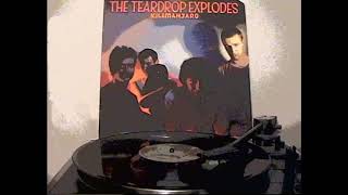 THE TEARDROP EXPLODES  Reward Filmed Record Vinyl LP Album Version 1980 Kilimanjaro Julian Cope [upl. by Mcintyre60]