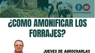 🟢¿Como Amonificar los forrajes [upl. by Arad50]