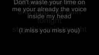 Blink 182 I Miss You lyrics and pics [upl. by Riesman]