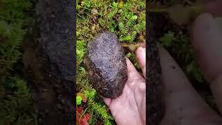 This how a meteorite looks from the inside [upl. by Lizbeth]