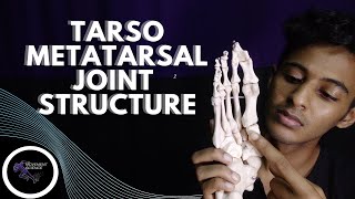 TARSO METATARSAL JOINT STRUCTUREANKLE JOINT BIOMECHANICSPhysiotherapy Tutorials [upl. by Esorylime]