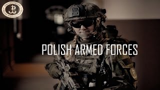 POLISH ARMY [upl. by Hyams40]