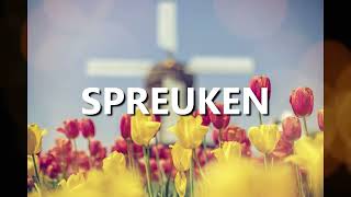 Spreuken Proverbs Dutch  Good News  Audio Bible [upl. by Edwards]