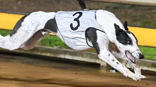 2024 Sportsbet Bendigo Cup Heat 2  Zeus Thunderbolt [upl. by Boyden]