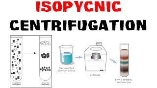 Isopycnic centrifugation [upl. by Winograd]