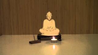 Zazen Sitting Meditation  20 Minutes [upl. by Donadee750]