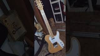 Cozart 12 string telecaster deluxe [upl. by Savell]