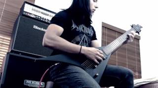 Behemoth  Ov Fire And The Void Guitar Cover [upl. by Weidner]