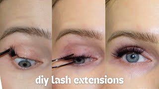 diy lashes LASHIFY VELVET  application tips [upl. by Luapnaes100]