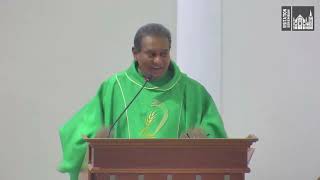 Homily Tamil  15th Sunday in Ordinary Time [upl. by Tamsky]