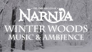 Chronicles of Narnia  Winter Woods Music amp Ambience  Relaxing Music with Sounds of Winter [upl. by Carling]