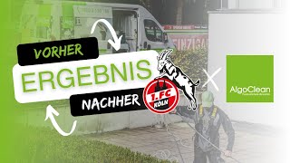 Fassadenreinigung beim 1 FC Köln  Algoclean Fassadenreinigung [upl. by Eintruoc]