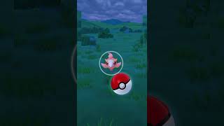 Catching a wild Spritzee pokemon go pokemon pokemongo spritzee [upl. by Rialc]