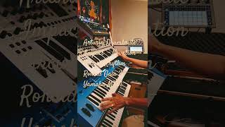 Arturia Drumbrute Impact  Novation Circuit Rhythm  Roland Gaia 2  Yamaha MX61 [upl. by Klara]