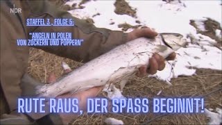 Angeln in Polen – Von Zockern und Poppern  Rute raus der Spaß beginnt Staffel 3 Folge 5 [upl. by Euqcaj]