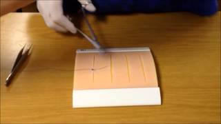 Basic Suturing Techniques [upl. by Beattie]