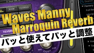 リバーブの難しさを解消！WAVES Manny Marroquin Reverbの魅力を解説します [upl. by Kalfas798]