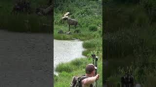 Extremely Far Compound Bow Shots at Total Archery Challenge on a MOOSE Guess the yardage [upl. by Adallard611]