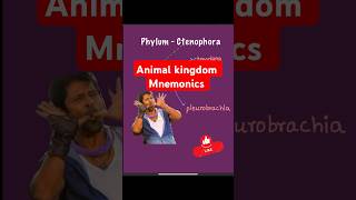 Mnemonics phylum ctenophora neet25 neet neetbiology Mnemonics neetpreparation neetmotivation [upl. by Anaeco70]