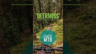 Deermiss on the MTB trail Haldon Forest Devon [upl. by Adamsen]