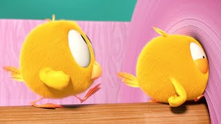 CHICK amp ROLL  Wheres Chicky  Cartoon Collection in English for Kids  New episodes [upl. by Enilrahc]