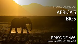 Episode 466  Africas Big 5 [upl. by Maibach]