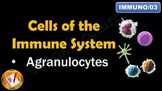 Cells of the Immune System PART II  AGRANULOCYTES FLImmuno03 [upl. by Whitford425]