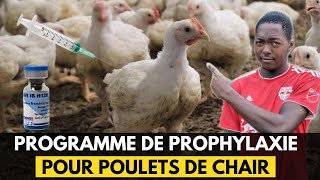 VOICI LE NOUVEAU PROGRAMME DE PROPHYLAXIE POUR POULETS DE CHAIR DU 1er AU 42ème JOUR [upl. by Thorner]