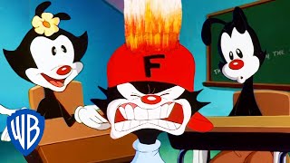 Animaniacs  The Warners are Back in School  Classic Cartoon  WB Kids [upl. by Darci]