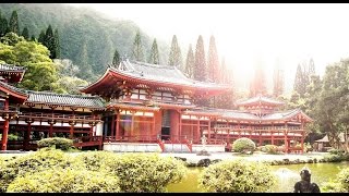 Japanische Entspannungsmusik mit Naturgeräuschen ◄◄◄  Japanische Musik [upl. by Flemings301]