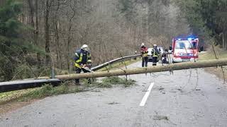 Sturmtief zieht über Trier und die Region [upl. by Freberg29]