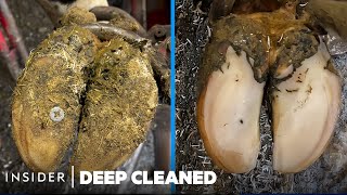 How Cow Hooves Are Deep Cleaned  Deep Cleaned  Insider [upl. by Crawley81]