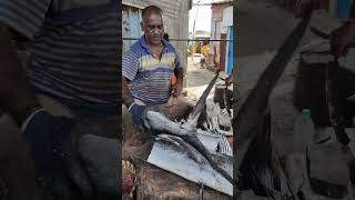 Giant 35KG MAYIL🦚KOLA FISH CUTTING⚡🦈 kasimedu fishcutting fishing fish vadachennaimeenavan [upl. by Kevyn]