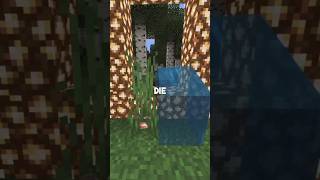 Trying to make the Aether portal on Minecraft minecraft minecraftshorts minecraftanimation [upl. by Purse]