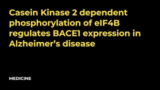 Casein Kinase 2 dependent phosphorylation of eIF4B regulates BACE1 expression in Alzheimer’s disease [upl. by Eliott]