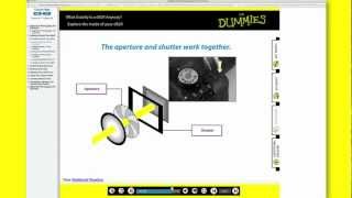 Dummies eLearning Access Code Cards [upl. by Luamaj110]