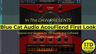 Blue Cat Audio AcouFiend First Look ITD [upl. by Maureene517]