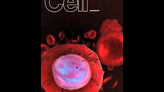 Malaria Channels Host Nutrients [upl. by Nanis]