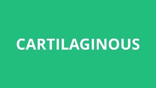 How To Pronounce Cartilaginous  Pronunciation Academy [upl. by Enilegna]