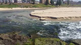 SANDBAR BREACHED AT THE ENTRANCE NSW sandbar beach breach [upl. by Einnij661]