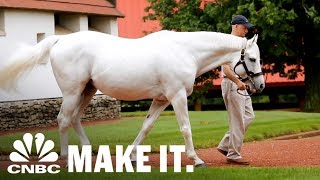 Americas Most Valuable Stallion Making Over 35 Million In Retirement  CNBC Make It [upl. by Aneeram]