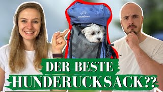 BESTER HUNDERUCKSACK I Hunderucksack Härtetest I Wanderpfote [upl. by Isaacs561]