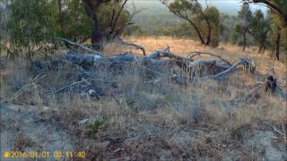 The Grampians Chinaman Track [upl. by Ttebroc943]