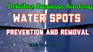 Dealing with water spots how to remove them and prevent them [upl. by Ynehteb]